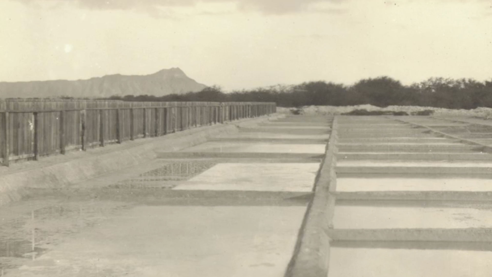 Protected: Ka‘ākaukukui & Paʻakai (Salt)
